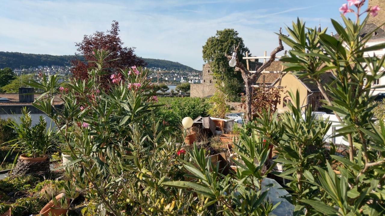 Artstudio Rudesheim Διαμέρισμα Rüdesheim am Rhein Εξωτερικό φωτογραφία