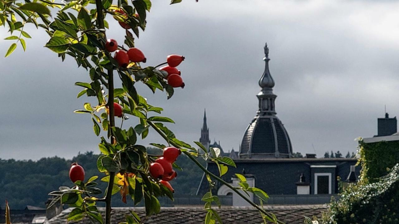 Artstudio Rudesheim Διαμέρισμα Rüdesheim am Rhein Εξωτερικό φωτογραφία
